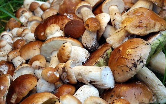 ��� ���� �� ����� ��������� ��������� � ��������� ����