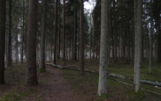 �� � ������: ����������� � ���������� ��� ���� ������ ���������� �������