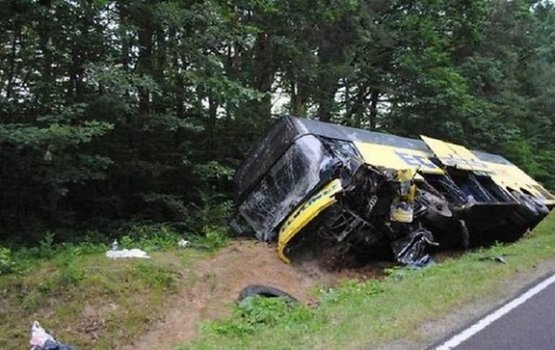 ������: ���������� ����������� � ��������� Ecolines, ���� ��������