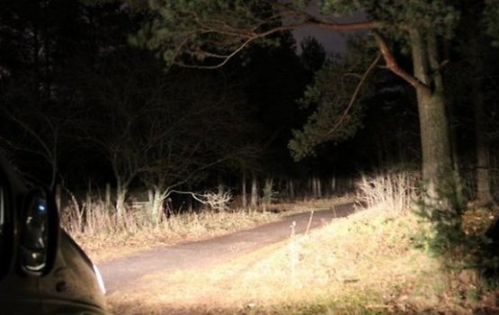 ����� 30 ����������� � ������������ ���� � ���� ��������� �������