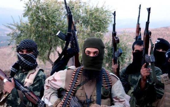 ���� �������� �������: ����������� �������� ��� �������������