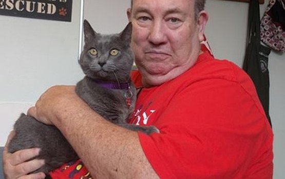 ����� �� ������� ������� ������ 11 ��� ����� ������������