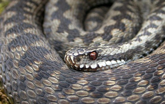 �� ����� � ������ ���������� ����� ������