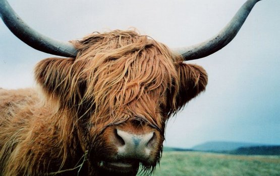 ��������� ���� ��������� ��������� ���������� �� ����� � ����� �� ������