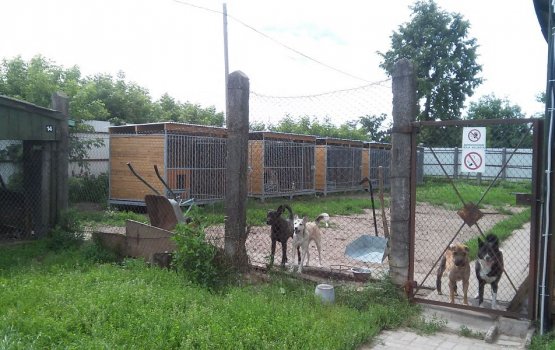 ����� �������: ����������� ������ ������ ������� ��� ����� �� �����