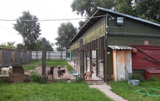 ����� �������: ����������� ������ ������ ������� ��� ����� �� �����