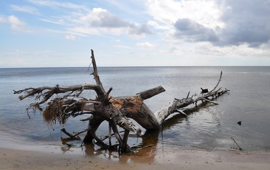 ����� Cool