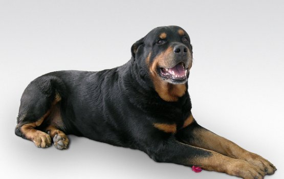 � ������ ��������� ����� �� ����� � �������������