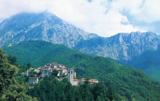 ���������: �������� �������������, ���������� � ������ ����������