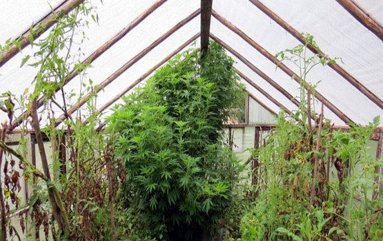 ������� �� ����� ����� ������ ���������