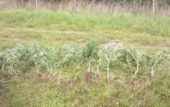 ������� �� ����� ����� ������ ���������