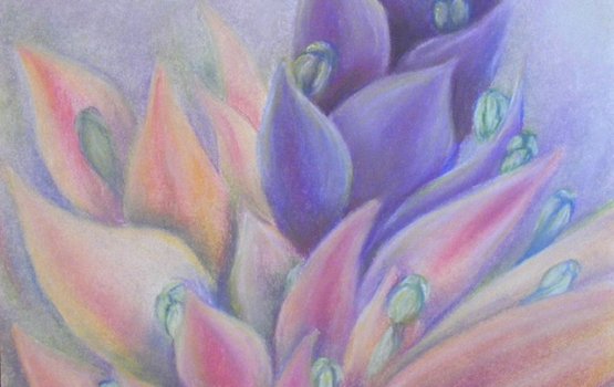 �������� ������� ������� �������� � ���� ��������� ���