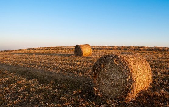 �������� ��������������� ������� ���� ������� �� ���� ��