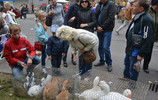 ��� ����: ������� ��������, ����, ���� � �������� ����������