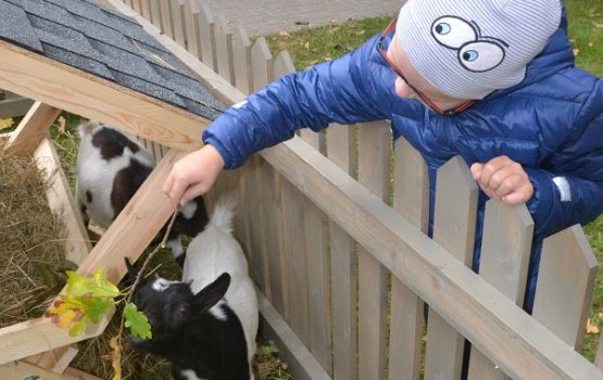 ��� ����: ������� ��������, ����, ���� � �������� ����������