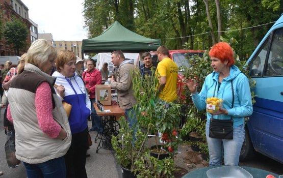 ��� ����: ������� ��������, ����, ���� � �������� ����������