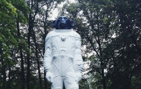 ����������� � ��������� �����: �������� �� ����� ���