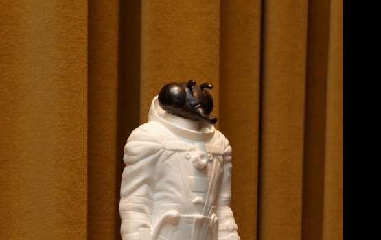 ����������� � ��������� �����: �������� �� ����� ���