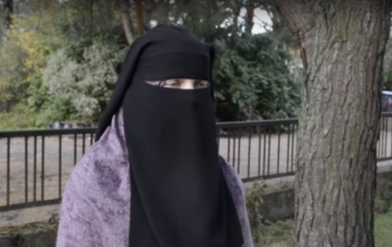 ������ �� ������� ������ ����������� ����. ������ �����������