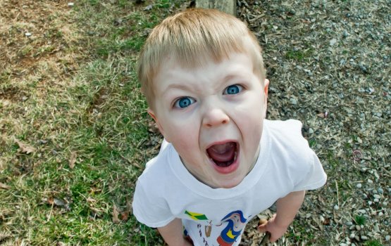 �������� ������, ��� ���������� � ����������� ��������