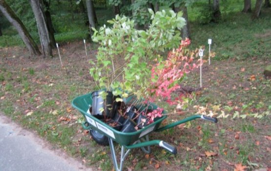 ��������� ���������� ������ � ������ ����� ������� ������ ����