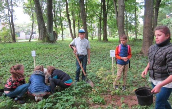 ��������� ���������� ������ � ������ ����� ������� ������ ����