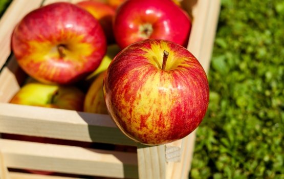 Топ полезных осенних продуктов