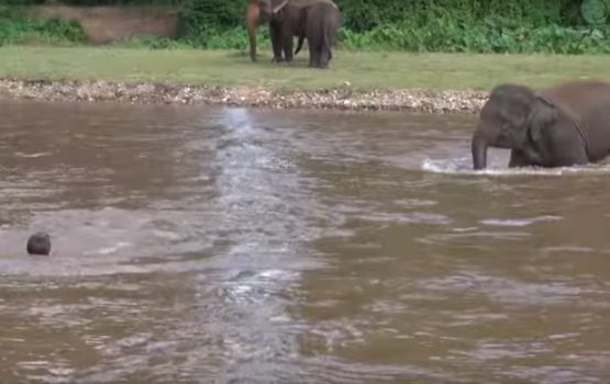 �������� �������� ������� ������ ������������� �� ������ ����