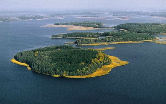 ������� ����� �� ������ ��� �������������