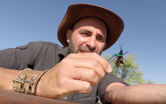 ����� ����������� ���� ���������� �������� �� �����