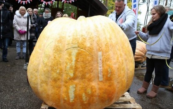 ����� ������� ����� � ������ ����� 404 ��