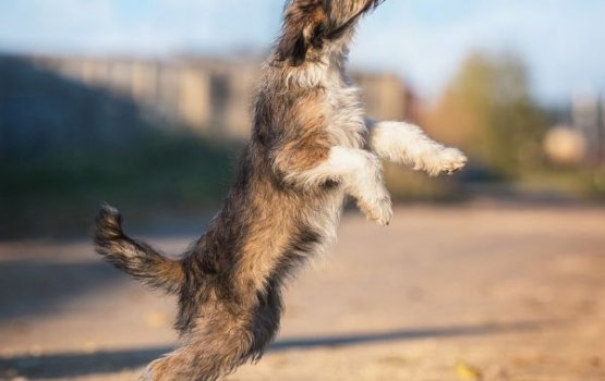 �������� �� ������ ������������� � ����������