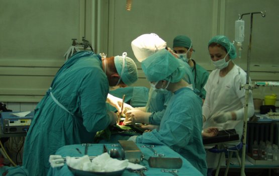 ����: ��������� ������������ �������� ������ ���������� �����������