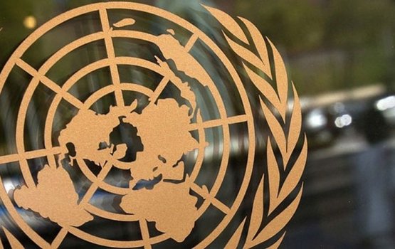 ООН приняла инициированную Беларусью резолюцию по Чернобылю