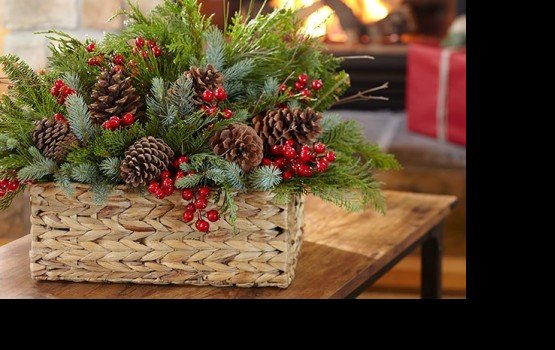 �������� ���� ��� � ������ ����