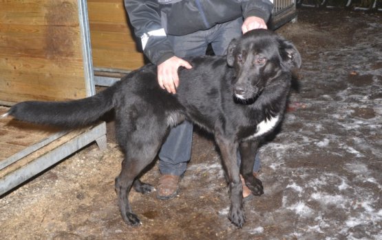 ������������ ��� ���� ������� � ������