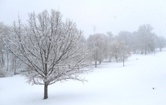 ������ ������� ������ � ������� �����: ���������� �� -17