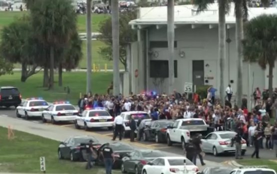 ������ �������� � 37 ������������ ����� �������� � ��������� �� �������