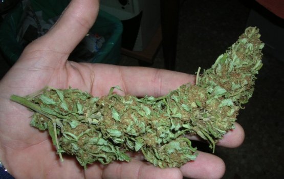 ����������� ����� � ���������� ����� 5 �� ���������