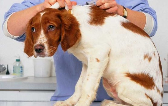 ���� ������������ �� ��������������� ��������?