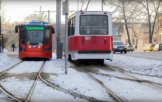 Более семи тысяч горожан смогут воспользоваться бесплатным проездом