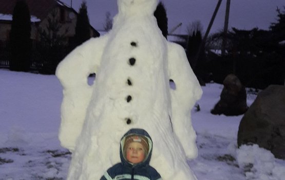 ���������� ���������� ������������ ����������