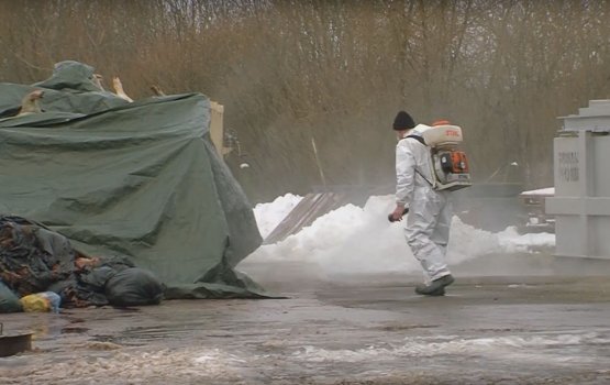 ������ ���������� ������� �������� �� ����������� ����������� ���� ������