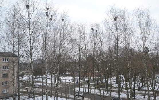 ��� ������ � ����� ���������?