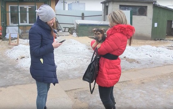 ������� �� ��������������� ������ ��� ��������: ���� � ���� ���� ������