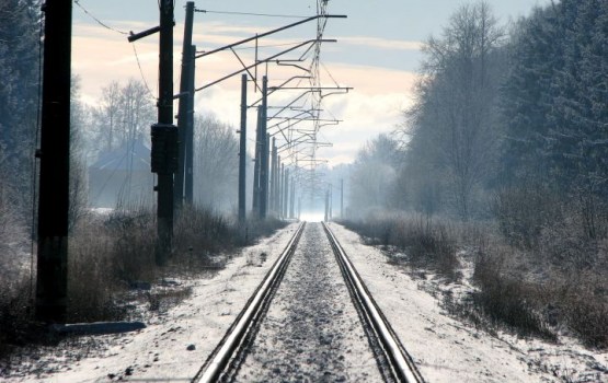 Latvijas Dzelzce&#316;&#353; ищет партнеров в Индии