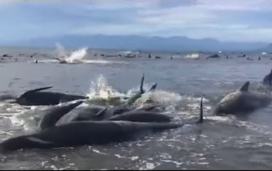 � ����� �������� ����� ������ ��������� ����������� �� �����