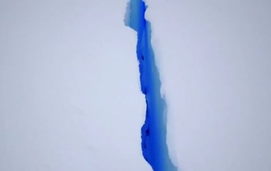 � ���������� �������� ������� ������ ���������� �������