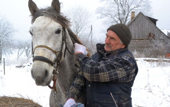 ����������� �����: ������� ����� � ��������� �������