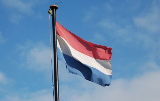 ���������� ������ ����������� ������ �� ��������